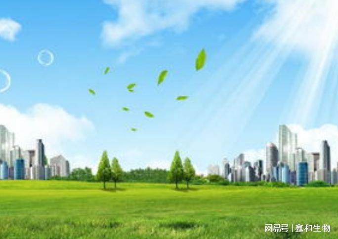 移动源治理与面源管控同步发力