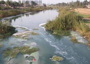 天明环境修复有限公司共对外投资了3家企业