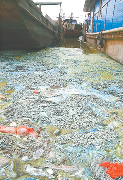 要加强城区居民和沿街商铺燃杂燃非检查